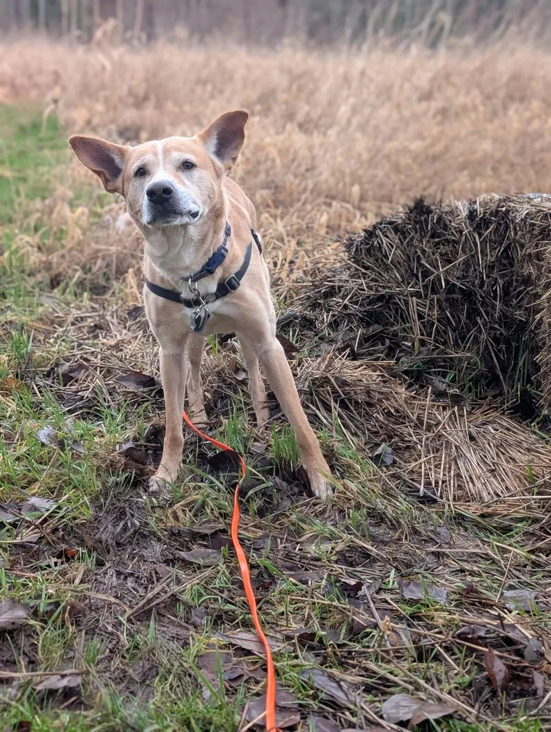 Christoph thumbnail 5