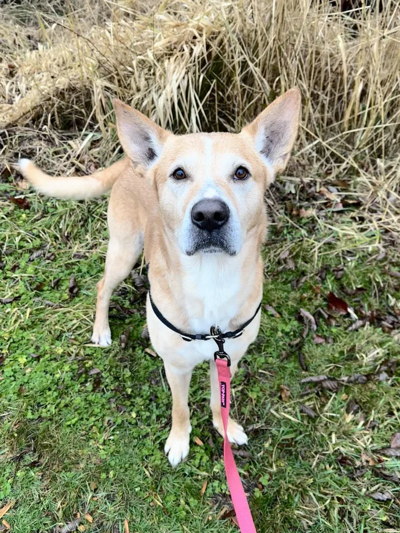 Christoph thumbnail 6