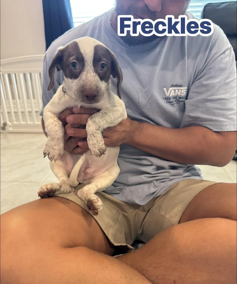 Freckles thumbnail 2