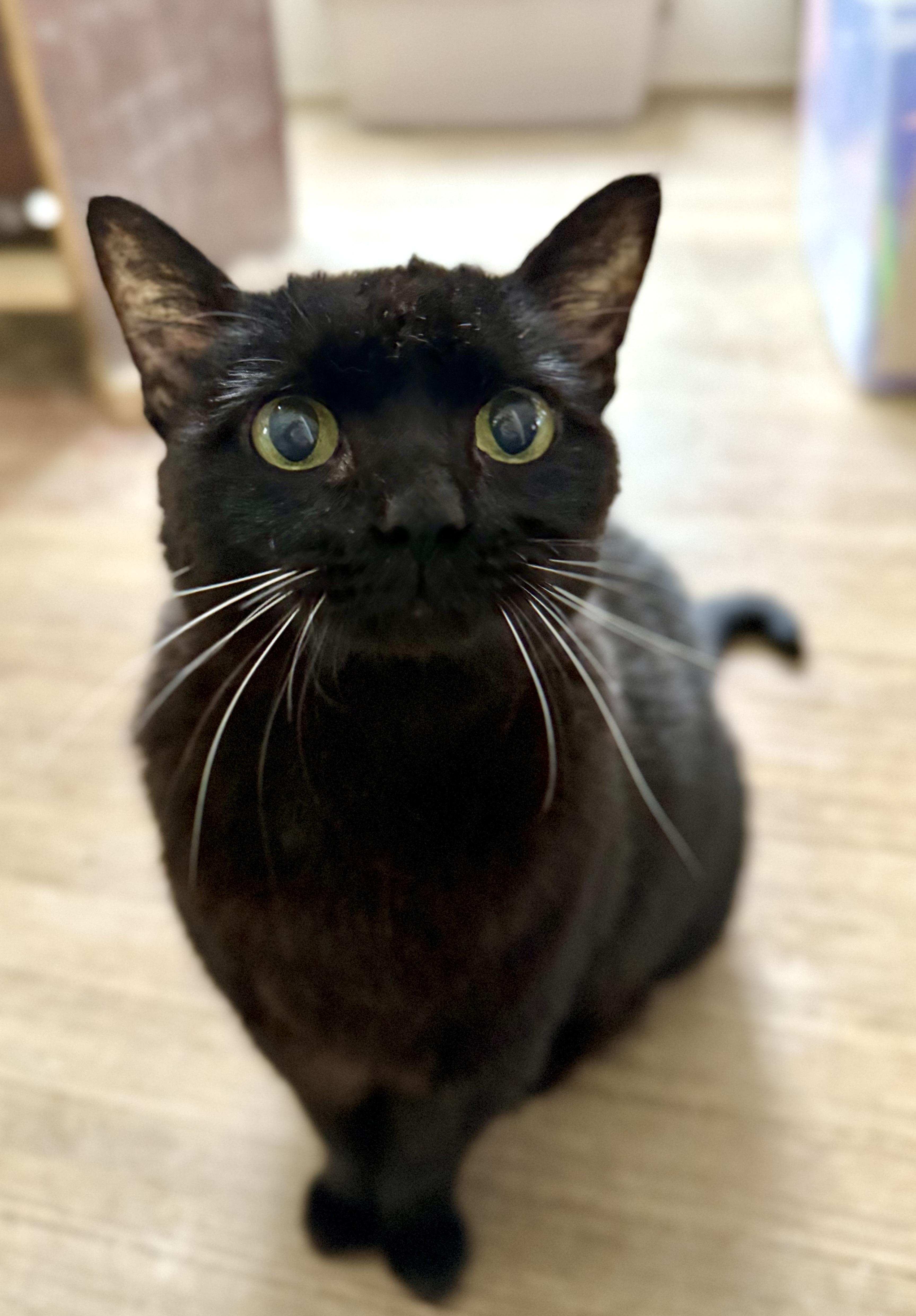 Samantha thumbnail 2