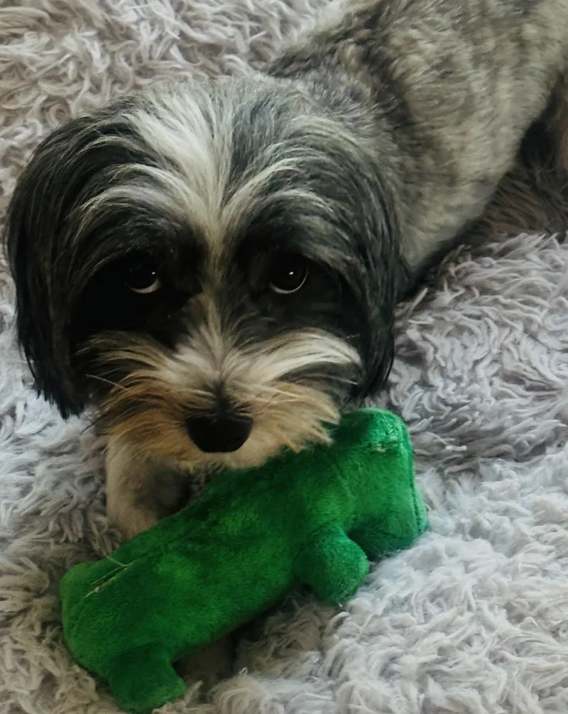 Bennie