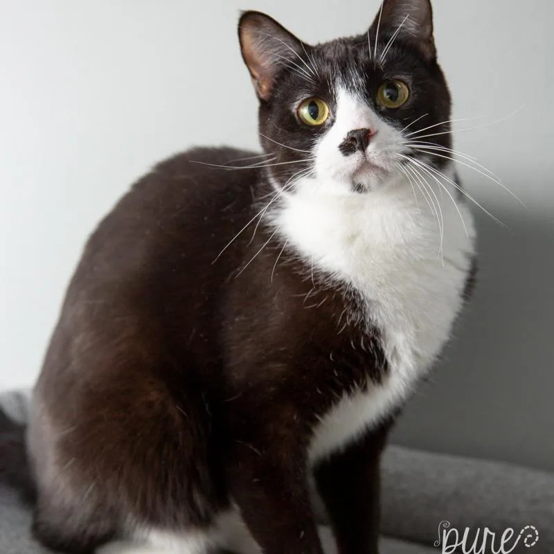 Harry Styles thumbnail 4