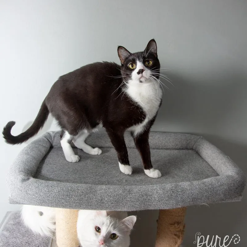 Harry Styles thumbnail 5