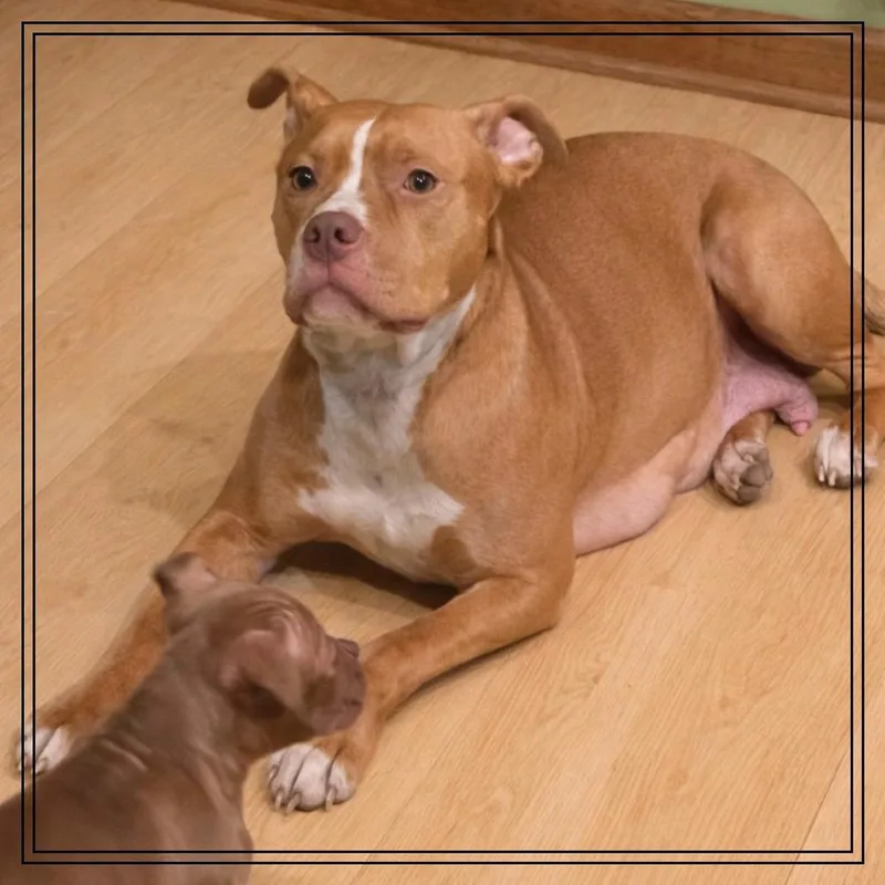 Mama Rosie thumbnail 2