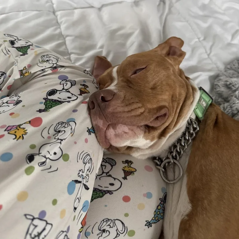 Mama Rosie thumbnail 5