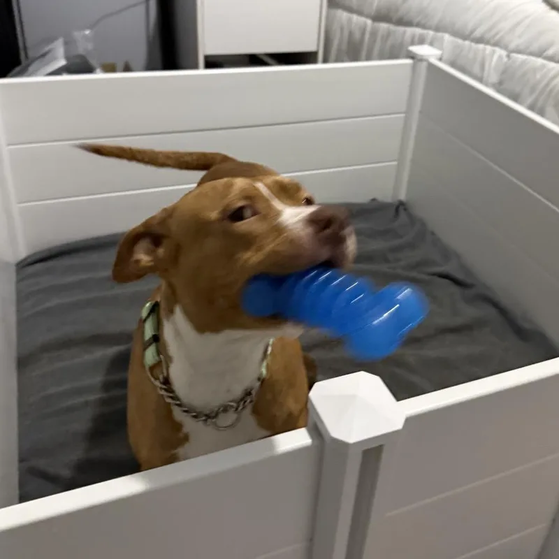 Mama Rosie thumbnail 6