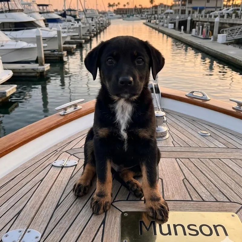 Munson thumbnail 2