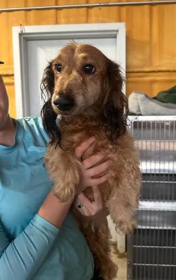 Benny in TX thumbnail 2