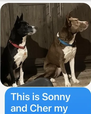 Sonny And Cher thumbnail 2