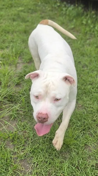 Casper thumbnail 3