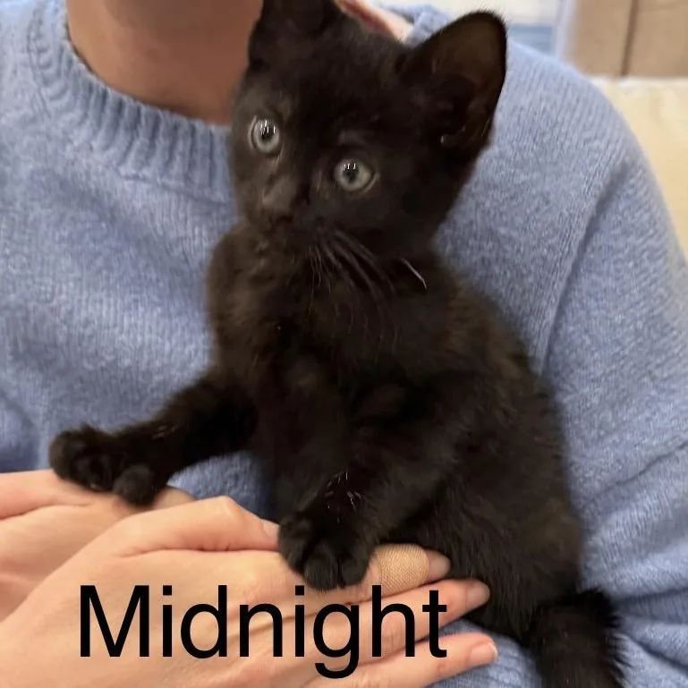 Midnight