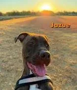 Jazue thumbnail 2