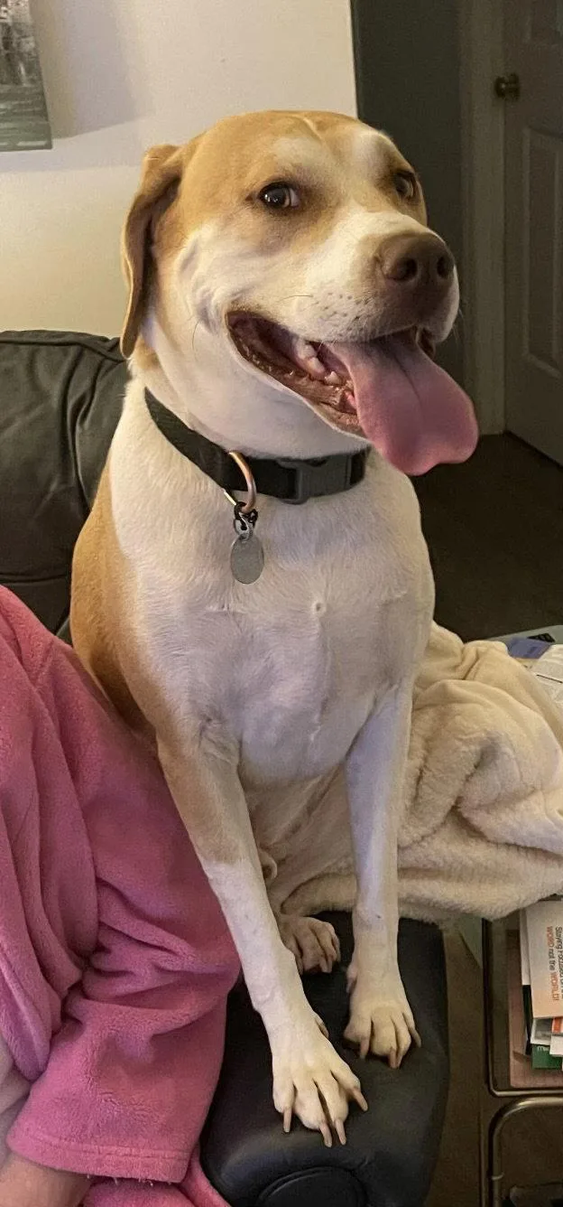Milo