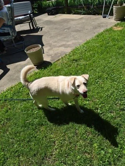Mika