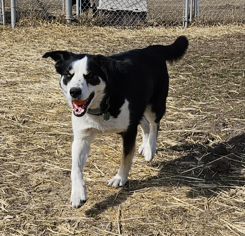 Snuggles thumbnail 2