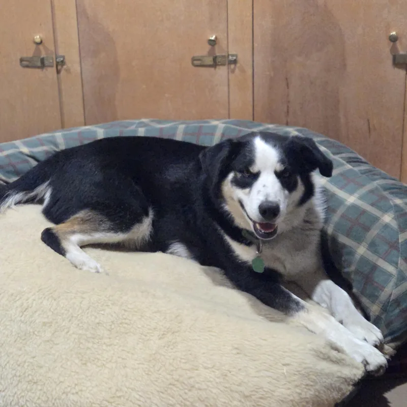 Snuggles thumbnail 3