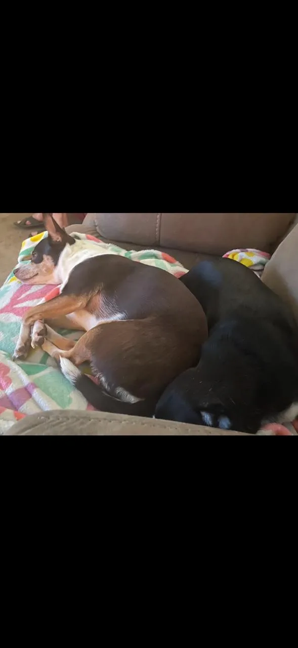 Missy thumbnail 2