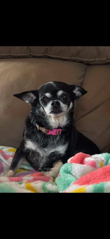 Missy thumbnail 3