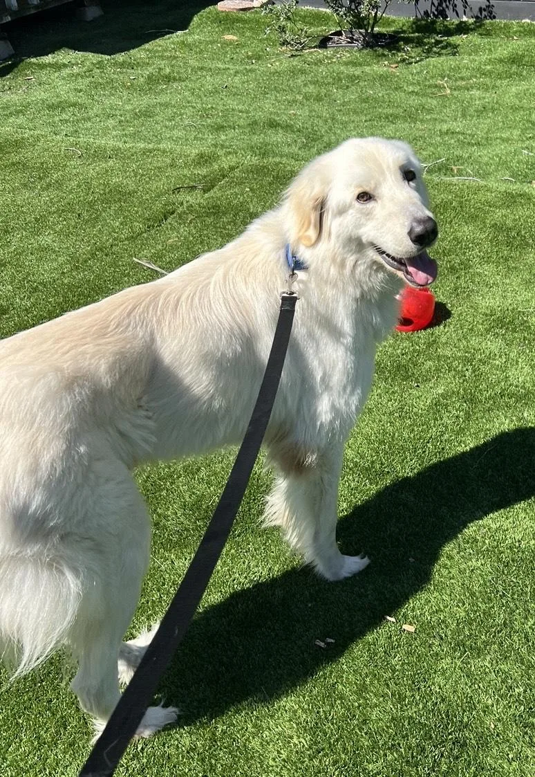 Winston Churchill thumbnail 2