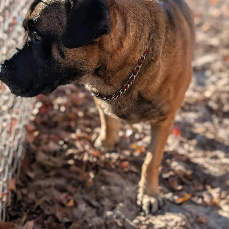 Mr. Rodgers thumbnail 2