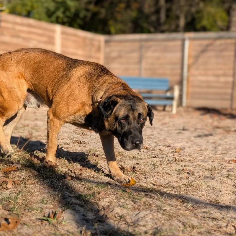 Mr. Rodgers thumbnail 3