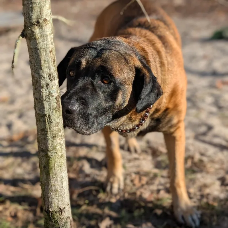 Mr. Rodgers thumbnail 4