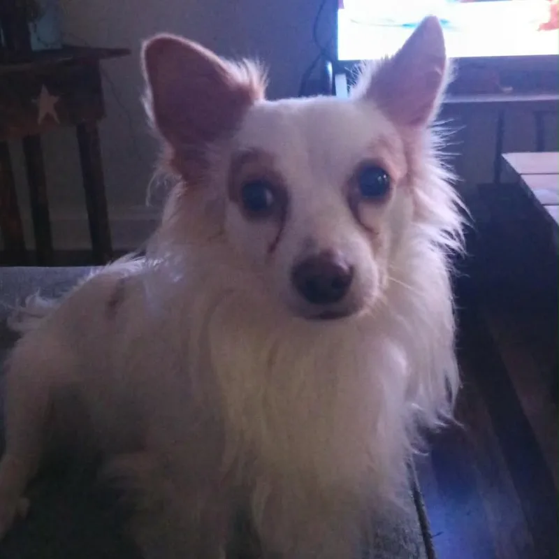 Zeke