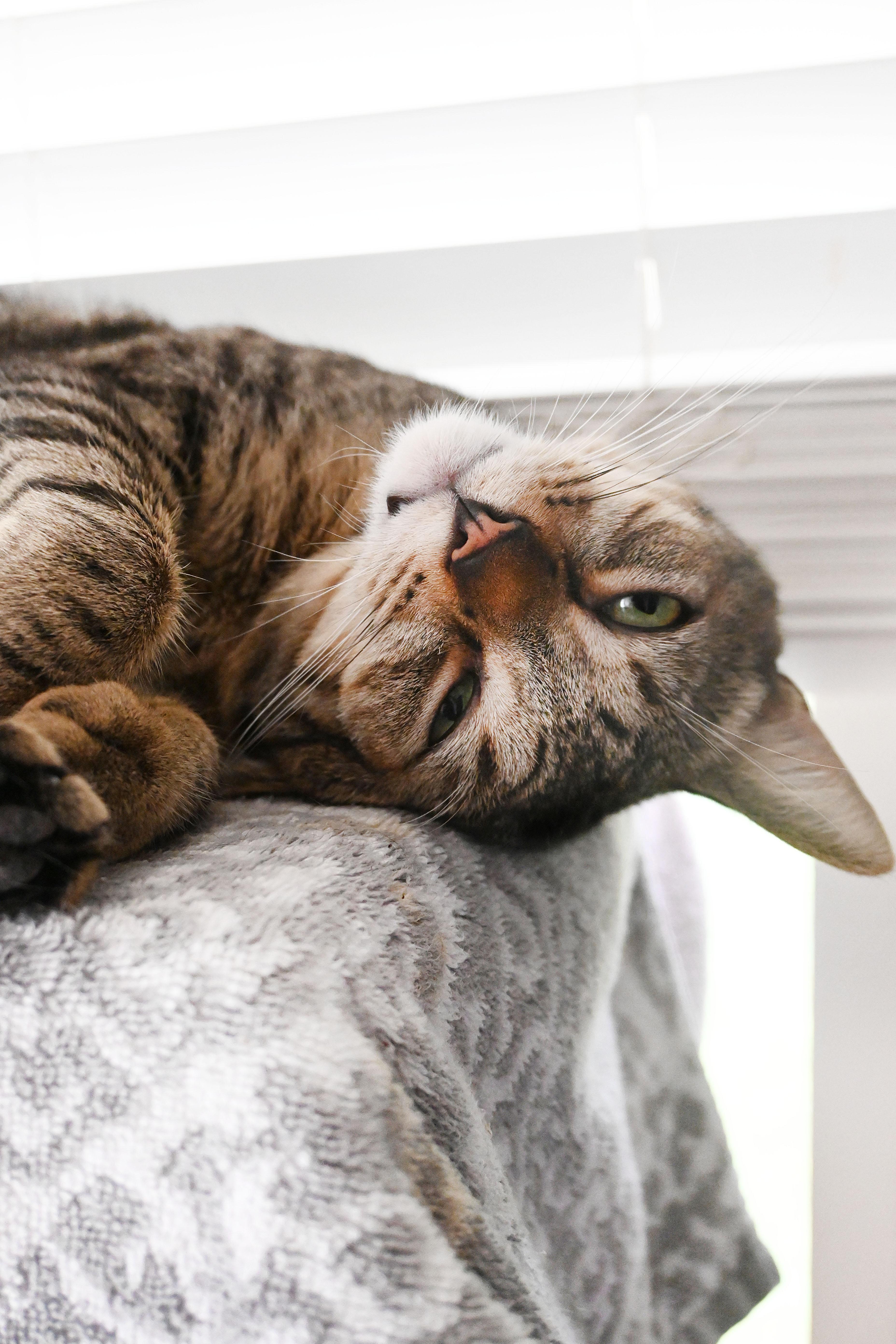 Earnest & Snow thumbnail 2