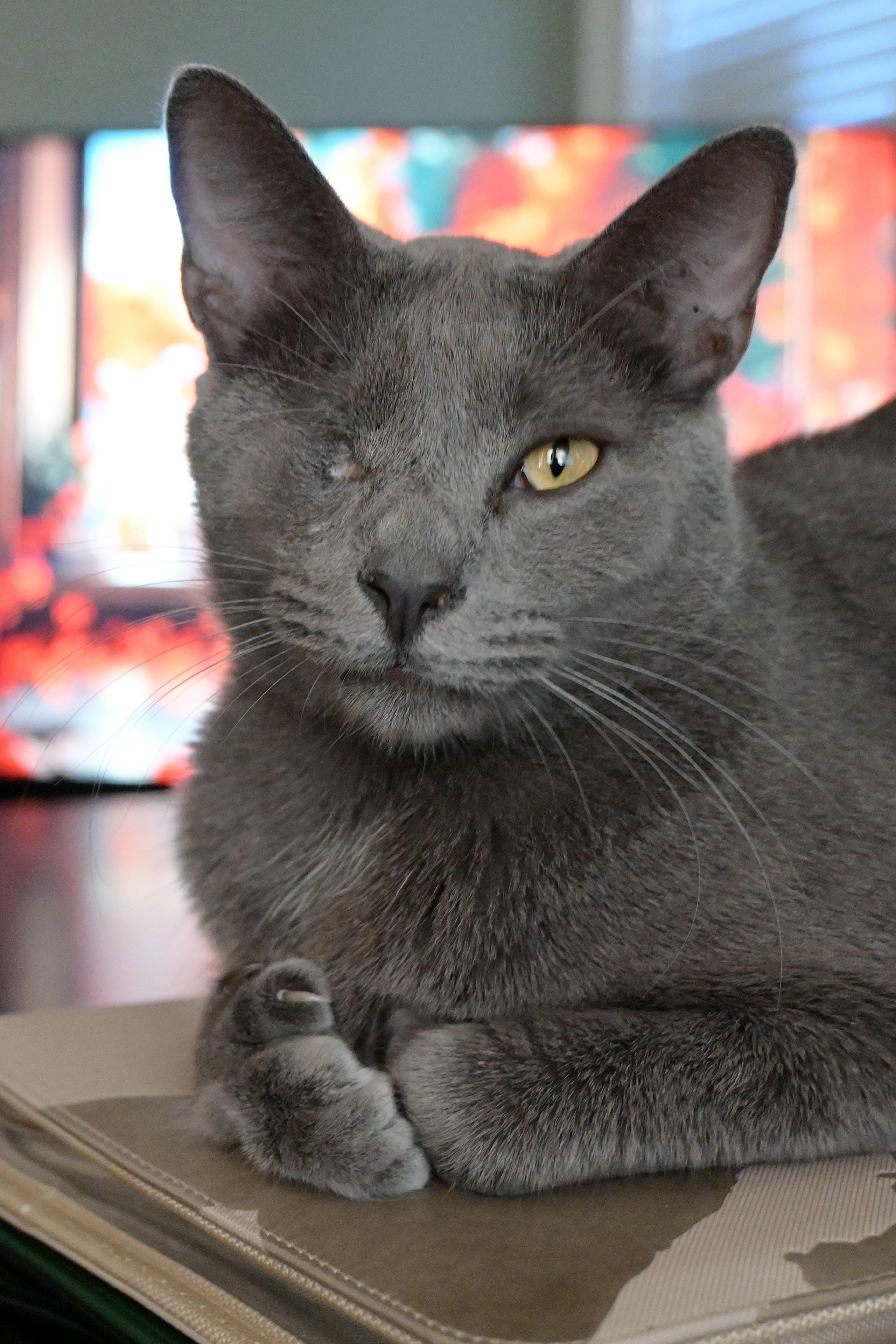 Earnest & Snow thumbnail 3