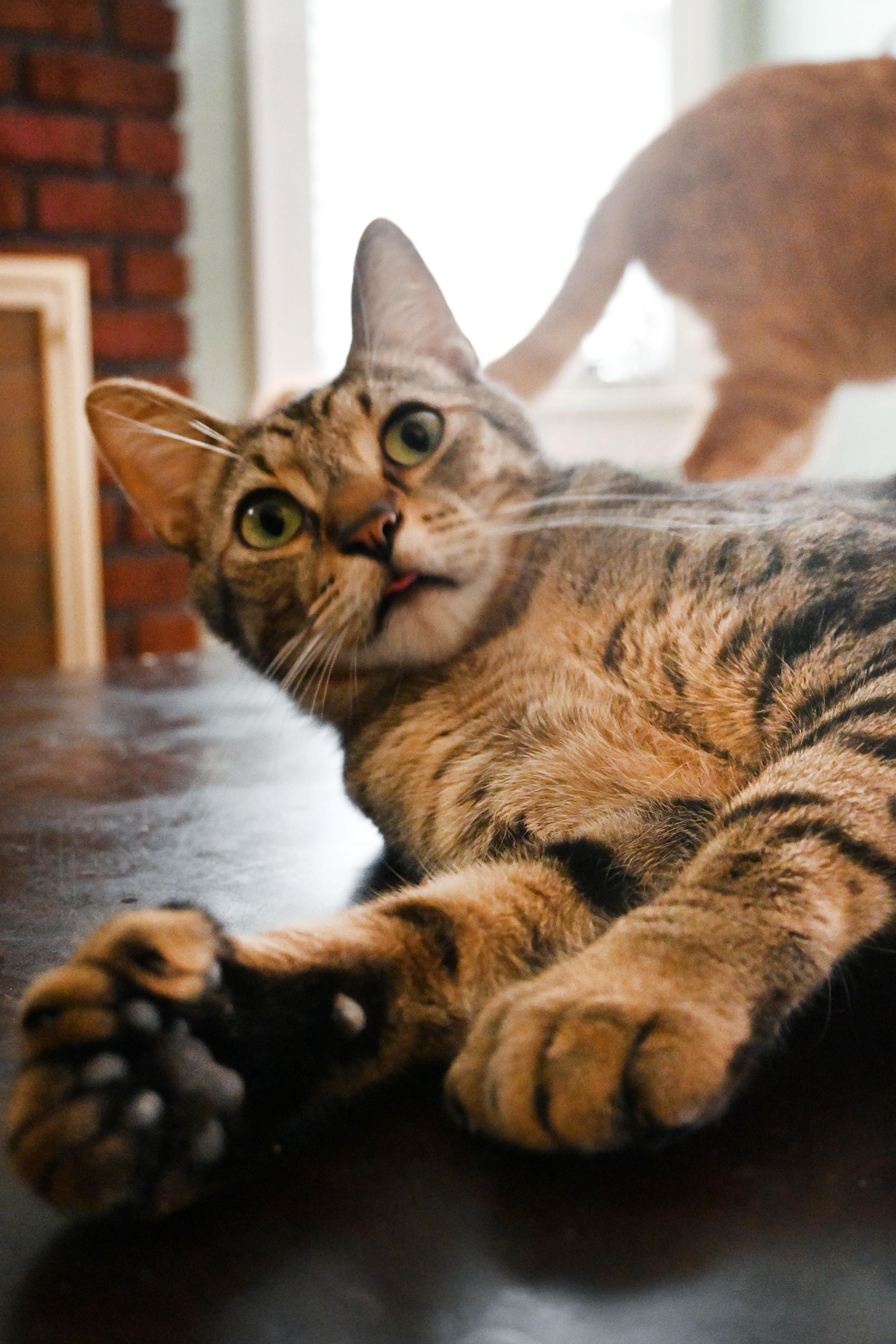 Earnest & Snow thumbnail 5