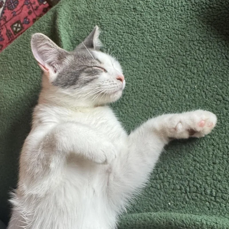 Margot thumbnail 3