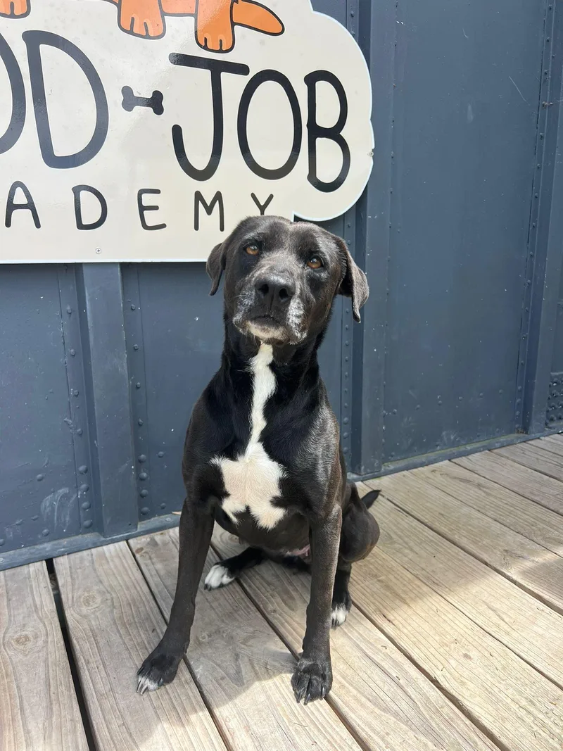 Victoria thumbnail 2