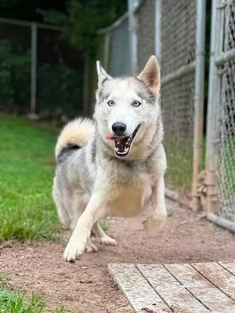 Gracie Mae