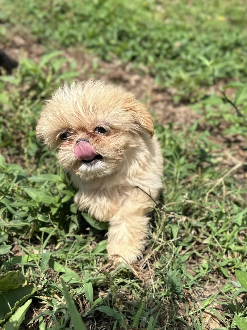 Winnie Apr   thumbnail 3