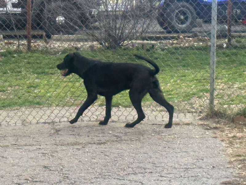Zeus