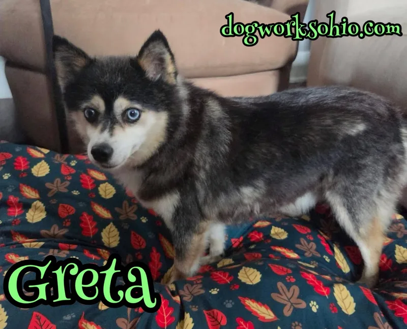Greta