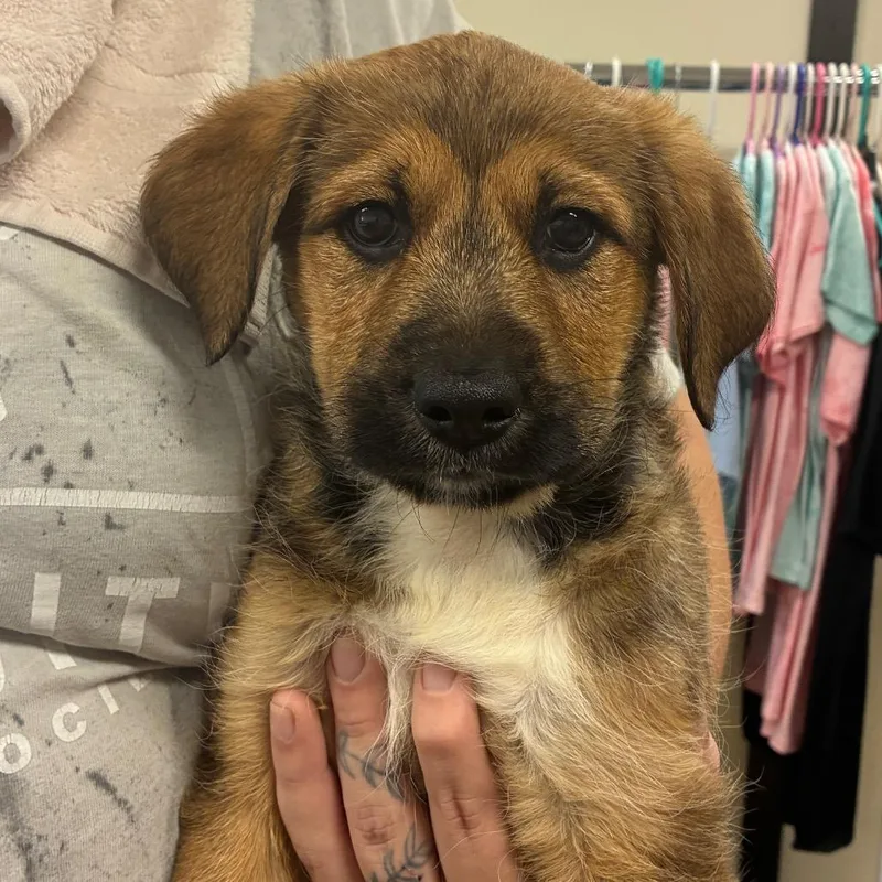 Ct Tj Maxx thumbnail 3