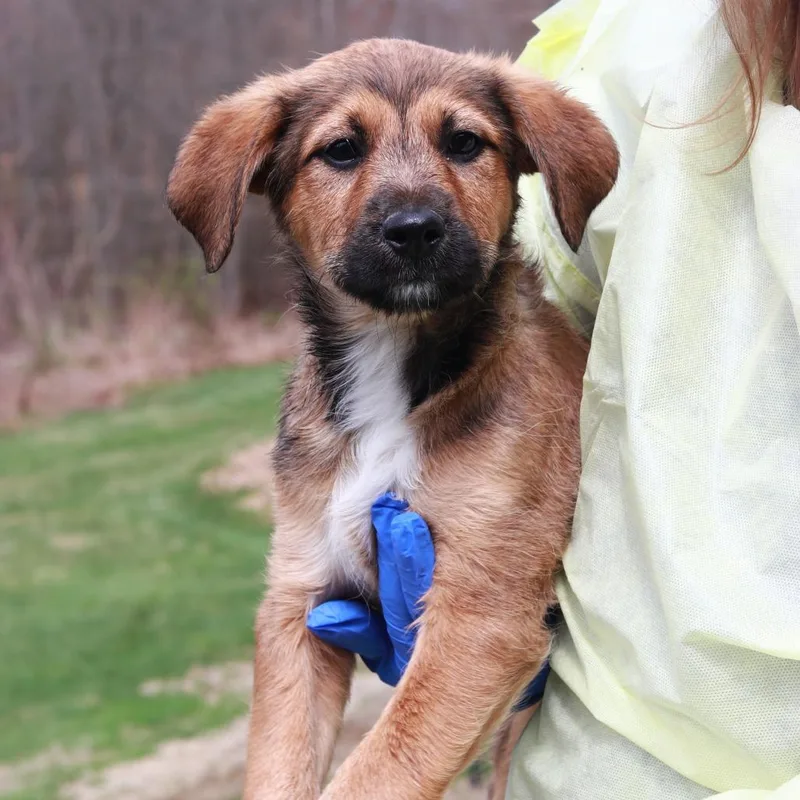 Ct Tj Maxx thumbnail 5