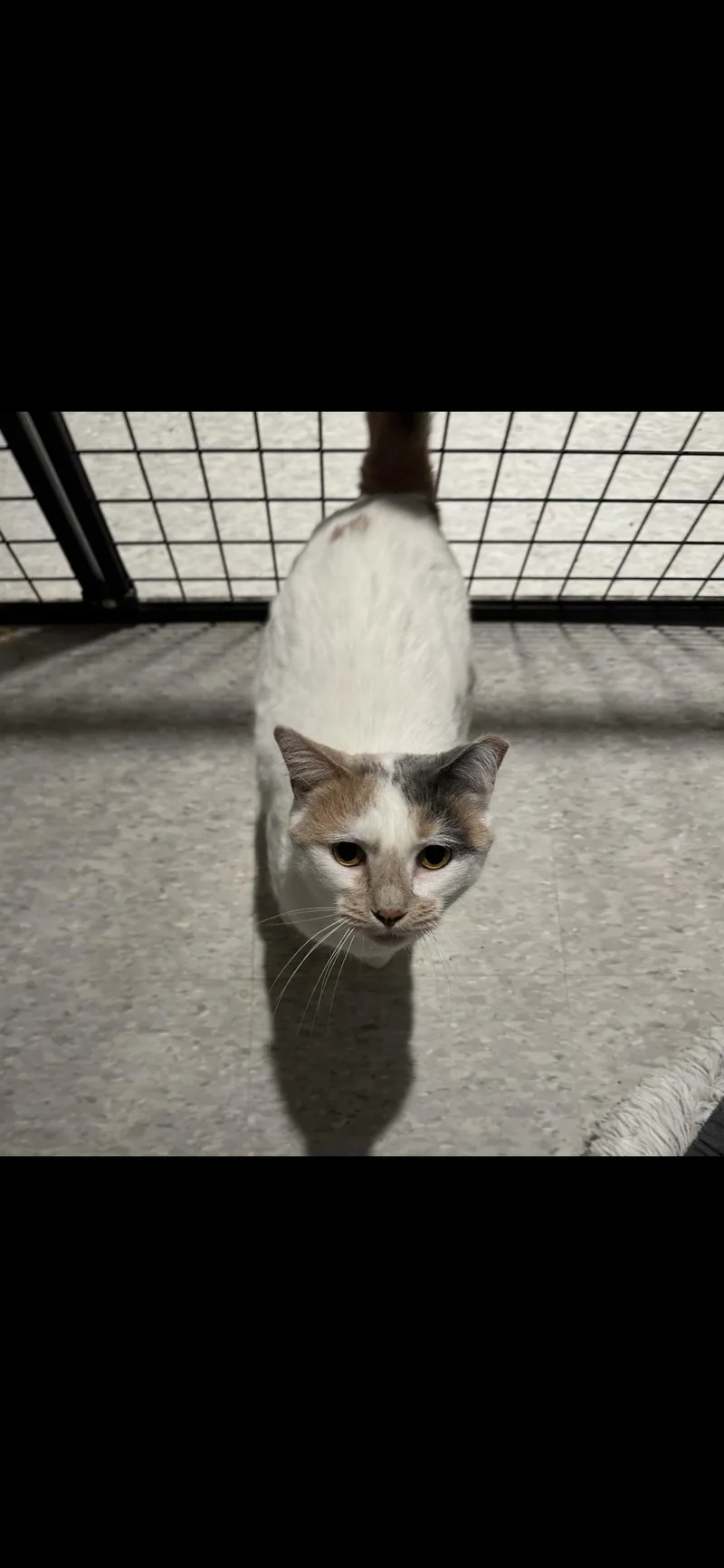 Jane thumbnail 4