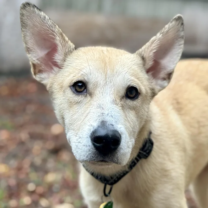 Miguel Luiz thumbnail 2