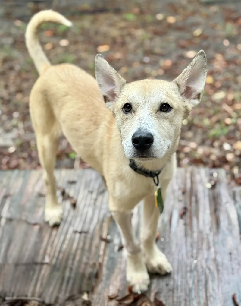 Miguel Luiz thumbnail 3