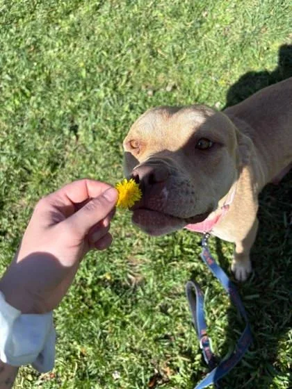 Coco thumbnail 3