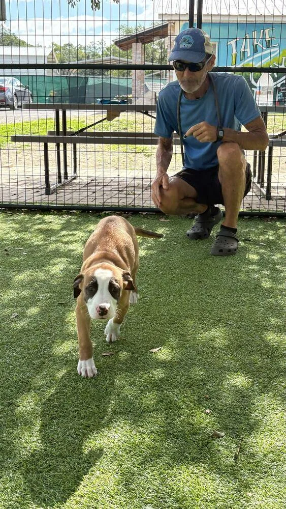 Sebastian thumbnail 2