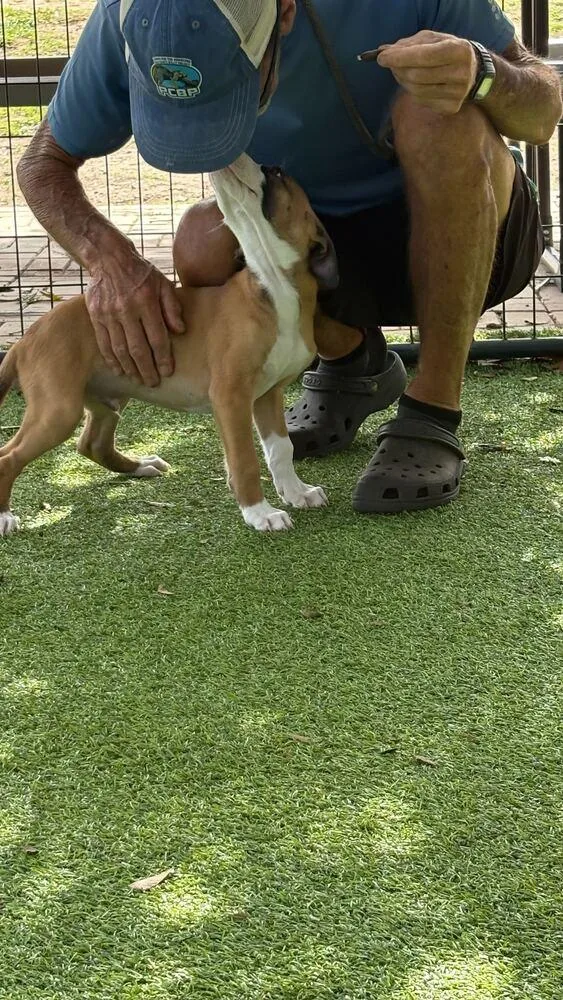 Sebastian thumbnail 5