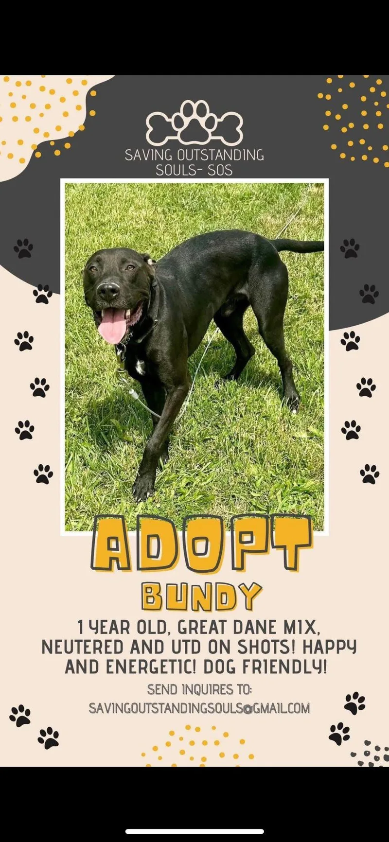 Bundy thumbnail 2