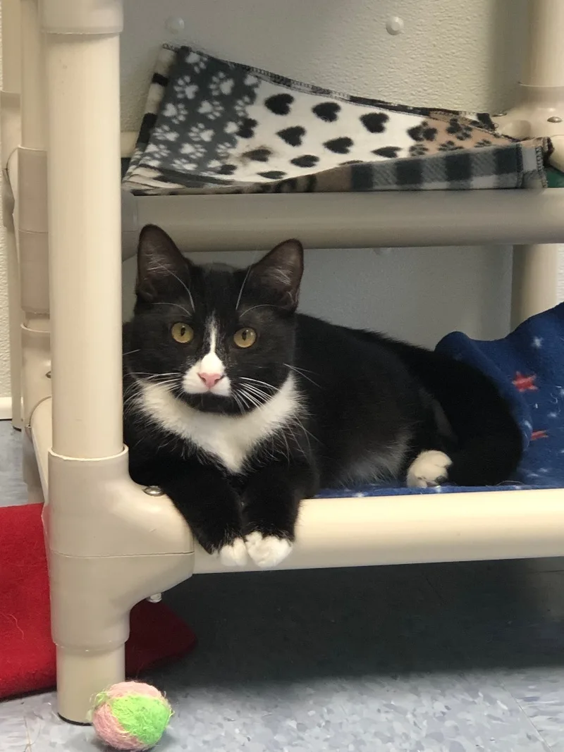 Hermione thumbnail 5