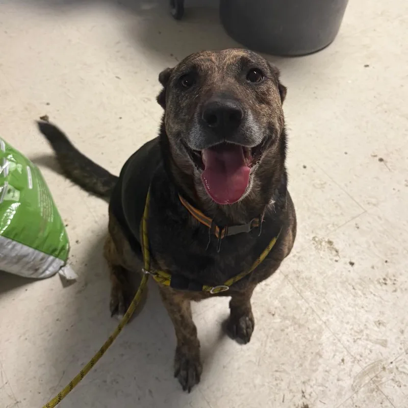 Veronika D thumbnail 2