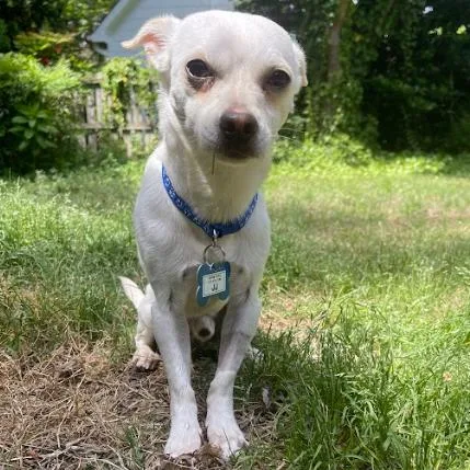 Jj thumbnail 4