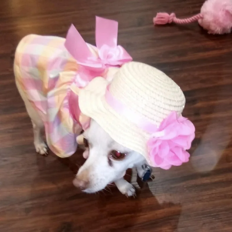 Princess Is Only  thumbnail 3