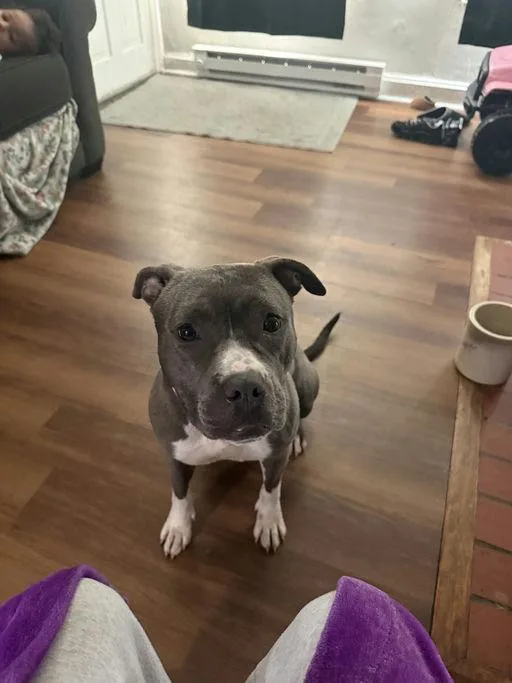 Luna